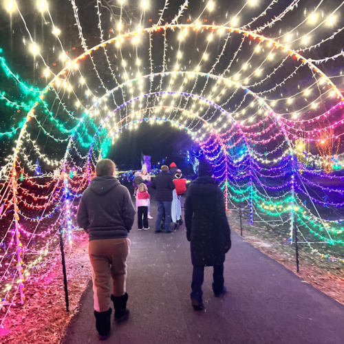 annemarie-garden-in-lights